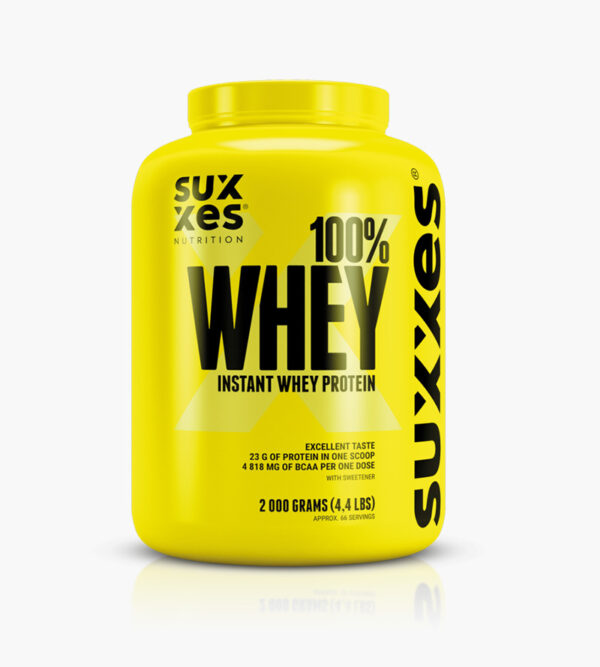 پروتئین وی ساکسس Whey 100% SUXXES