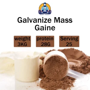 مس گینر گالوانایز