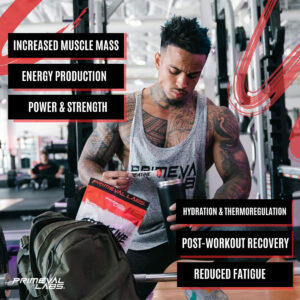 کراتین مونوهیدرات پرایموال لبز